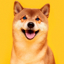 shiba inu reconstructed